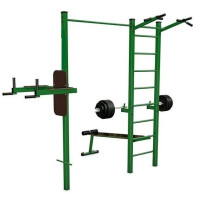 Тренажёр уличный с турником и шведской стенкой